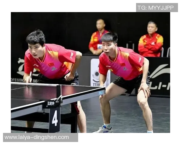 上海排球队速度表现分析大满贯点评展现竞技魅力与团队协作